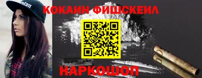 стаф Кингисепп