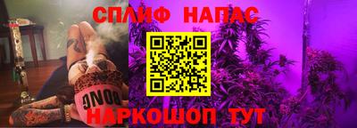 стаф Кингисепп