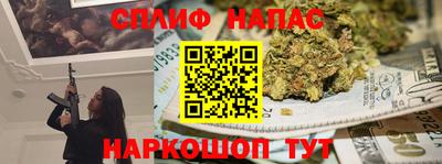 шишки Кинель