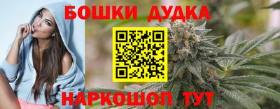 шишки Кинель