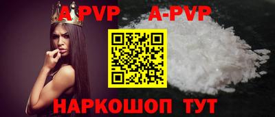 стаф Кингисепп