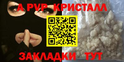 стаф Кингисепп