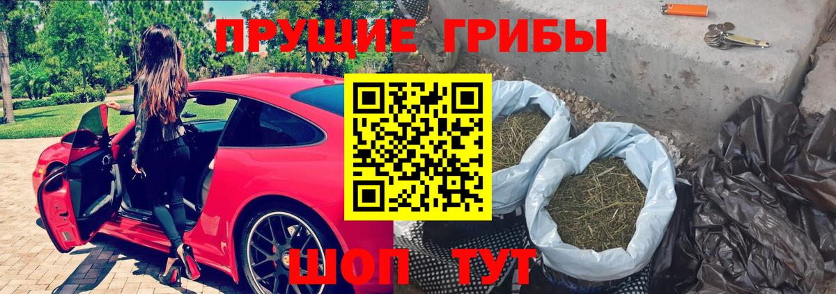 Галлюциногенные грибы GOLDEN TEACHER  Вход с VPN  Кинель 